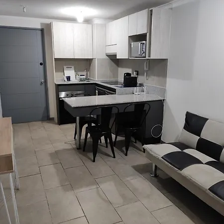 Departamento Arriendo Diario Appartement